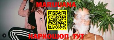 сатива Кингисепп