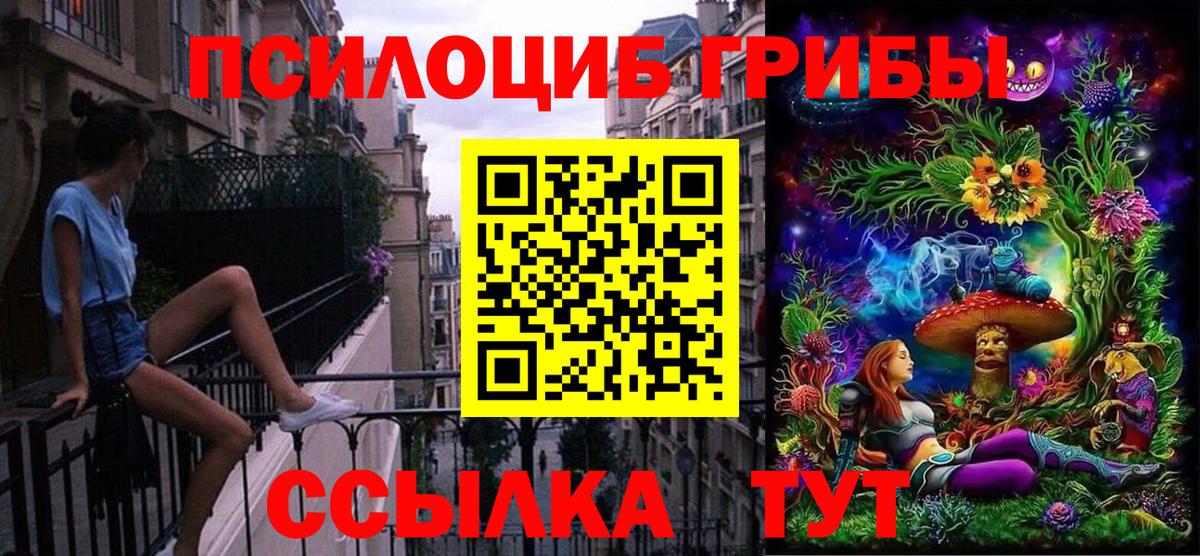 Североморск  Галлюциногенные грибы GOLDEN TEACHER  Вход с VPN 